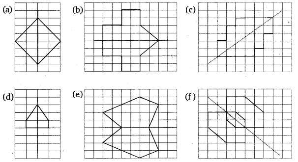 NCERT Solutions for Class 6 Maths Chapter 13 Symmetry 5