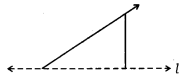 NCERT Solutions for Class 6 Maths Chapter 13 Symmetry 6