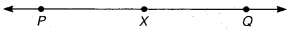 NCERT Solutions for Class 6 Maths Chapter 14 Practical Geometry 10