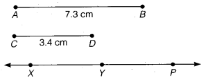 NCERT Solutions for Class 6 Maths Chapter 14 Practical Geometry 12