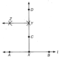 NCERT Solutions for Class 6 Maths Chapter 14 Practical Geometry 16