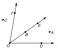 NCERT Solutions for Class 6 Maths Chapter 4 Basic Geometrical Ideas 16