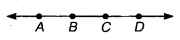 NCERT Solutions for Class 6 Maths Chapter 4 Basic Geometrical Ideas 2