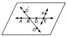 NCERT Solutions for Class 6 Maths Chapter 4 Basic Geometrical Ideas 3