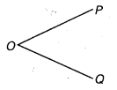 NCERT Solutions for Class 6 Maths Chapter 4 Basic Geometrical Ideas 7