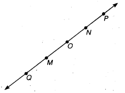 NCERT Solutions for Class 6 Maths Chapter 4 Basic Geometrical Ideas 8