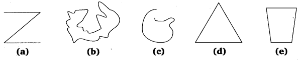 NCERT Solutions for Class 6 Maths Chapter 4 Basic Geometrical Ideas 9