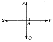 NCERT Solutions for Class 6 Maths Chapter 5 Understanding Elementary Shapes 25