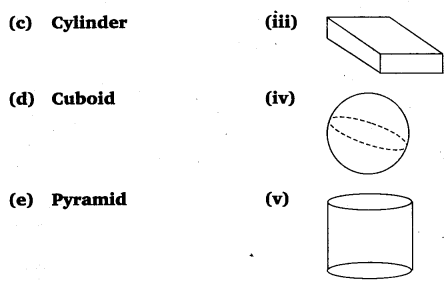 NCERT Solutions for Class 6 Maths Chapter 5 Understanding Elementary Shapes 39