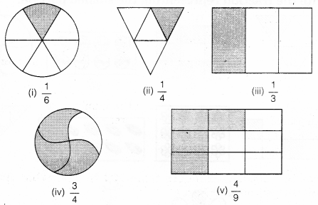 NCERT Solutions for Class 6 Maths Chapter 7 Fractions 5