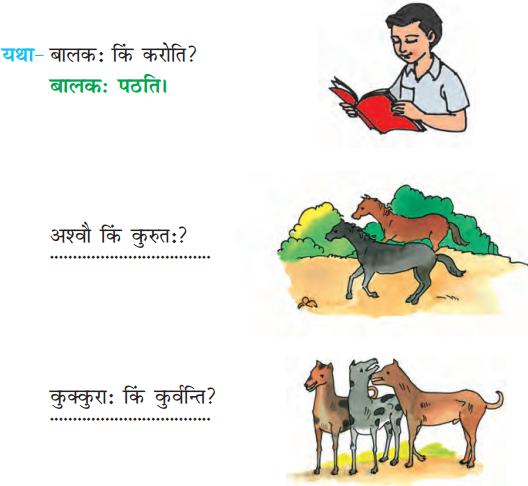 NCERT Solutions for Class 6 Sanskrit Chapter 1 शब्द परिचयः 1.11