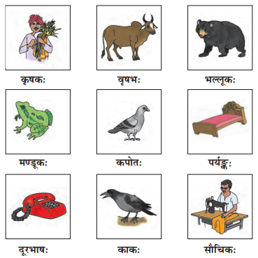 NCERT Solutions for Class 6 Sanskrit Chapter 1 शब्द परिचयः 1.2