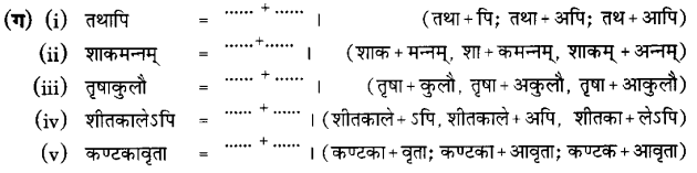 NCERT Solutions for Class 6 Sanskrit Chapter 10 कृषिकाः कर्मवीराः 7