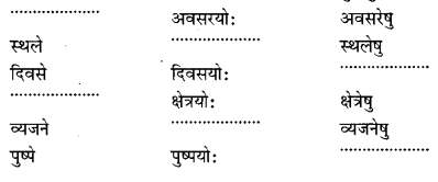 NCERT Solutions for Class 6 Sanskrit Chapter 11 पुष्पोत्सवः 2