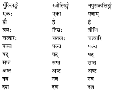 NCERT Solutions for Class 6 Sanskrit Chapter 12 दशमः त्वम असि 1