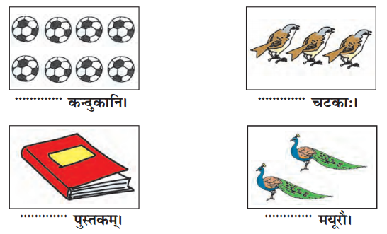 NCERT Solutions for Class 6 Sanskrit Chapter 12 दशमः त्वम असि 2