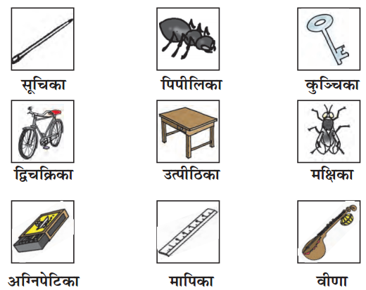 NCERT Solutions for Class 6 Sanskrit Chapter 2 शब्द परिचयः 2.2