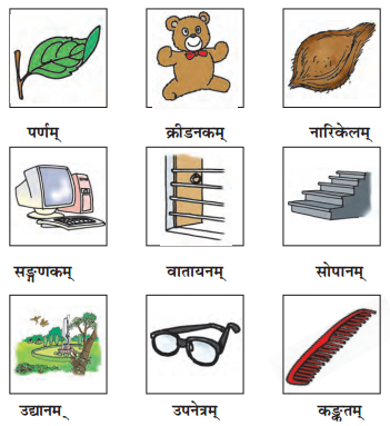 NCERT Solutions for Class 6 Sanskrit Chapter 3 शब्द परिचयः 3.2