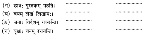 NCERT Solutions for Class 6 Sanskrit Chapter 5 वृक्षाः 10