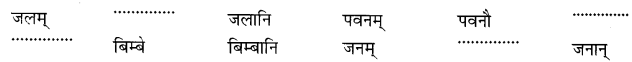 NCERT Solutions for Class 6 Sanskrit Chapter 5 वृक्षाः 2