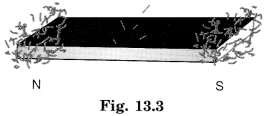 NCERT Solutions for Class 6 Science Chapter 13 Fun with Magnets 1