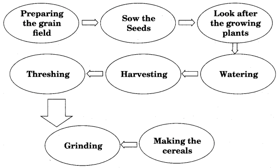 NCERT Solutions for Class 6 Social Science History Chapter 3 From Gathering to Growing Food 1