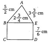 NCERT Solutions for Class 7 Maths Chapter 2 Fractions and Decimals 12