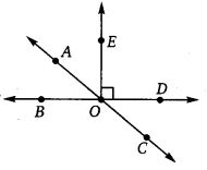 NCERT Solutions for Class 7 Maths Chapter 5 Lines and Angles 10