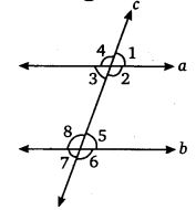 NCERT Solutions for Class 7 Maths Chapter 5 Lines and Angles 12