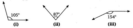 NCERT Solutions for Class 7 Maths Chapter 5 Lines and Angles 2