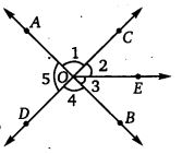 NCERT Solutions for Class 7 Maths Chapter 5 Lines and Angles 4