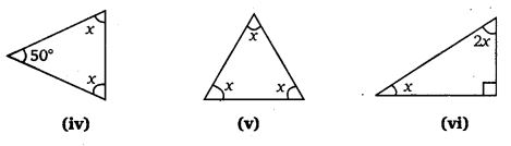 NCERT Solutions for Class 7 Maths Chapter 6 The Triangle and its Properties 10