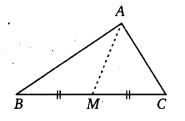 NCERT Solutions for Class 7 Maths Chapter 6 The Triangle and its Properties 17