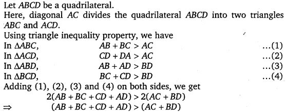 NCERT Solutions for Class 7 Maths Chapter 6 The Triangle and its Properties 19