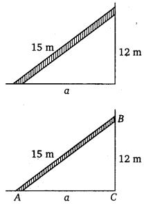 NCERT Solutions for Class 7 Maths Chapter 6 The Triangle and its Properties 24