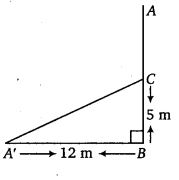 NCERT Solutions for Class 7 Maths Chapter 6 The Triangle and its Properties 28