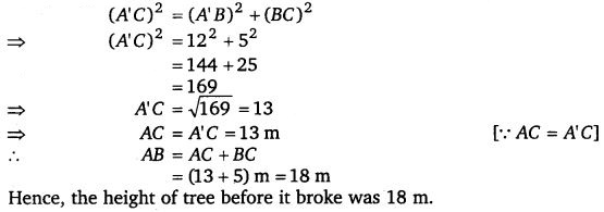 NCERT Solutions for Class 7 Maths Chapter 6 The Triangle and its Properties 29