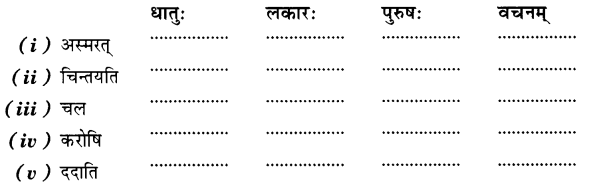 NCERT Solutions for Class 7 Sanskrit Chapter 14 अनारिकायाः जिज्ञासा 7