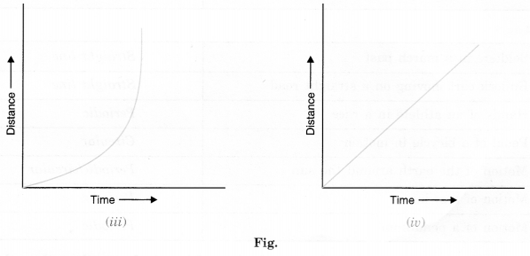 NCERT Solutions for Class 7 Science Chapter 13 Motion and Time Q.13.2