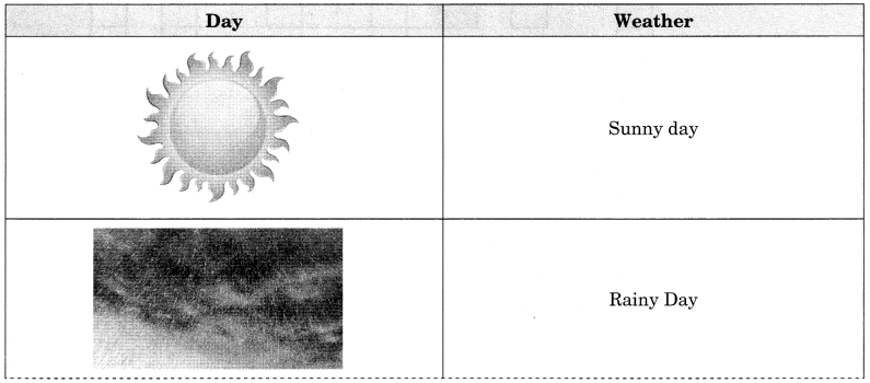 NCERT Solutions for Class 7 Social Science Geography Chapter 4 Air 2