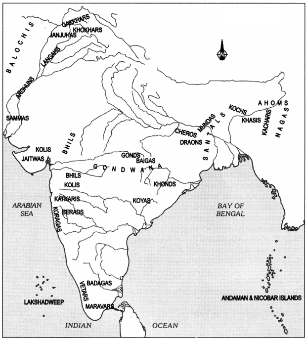 NCERT Solutions for Class 7 Social Science History Chapter 7 Tribes, Nomads and Settled Communities