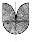 NCERT Solutions for Class 7 maths Algebraic Expreesions img 124