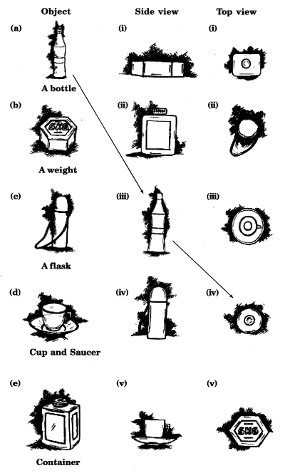 NCERT Solutions for Class 8 Maths Chapter 10 Visualising Solid Shapes 1