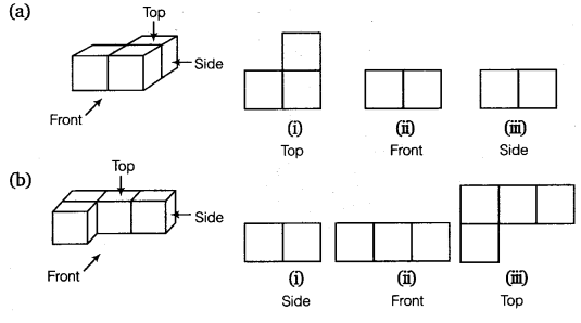 NCERT Solutions for Class 8 Maths Chapter 10 Visualising Solid Shapes 10