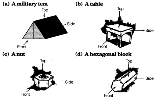 NCERT Solutions for Class 8 Maths Chapter 10 Visualising Solid Shapes 12