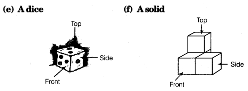 NCERT Solutions for Class 8 Maths Chapter 10 Visualising Solid Shapes 13