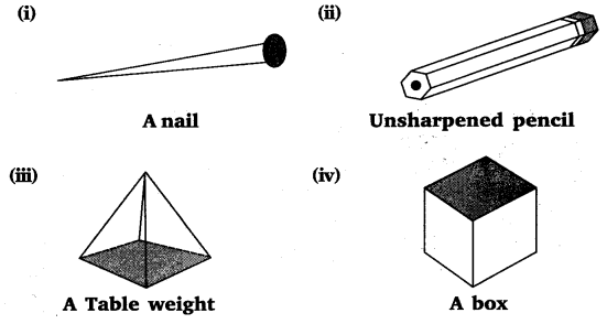 NCERT Solutions for Class 8 Maths Chapter 10 Visualising Solid Shapes 21