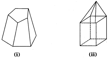 NCERT Solutions for Class 8 Maths Chapter 10 Visualising Solid Shapes 22