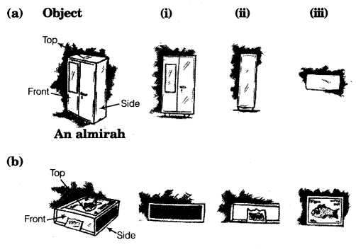 NCERT Solutions for Class 8 Maths Chapter 10 Visualising Solid Shapes 3