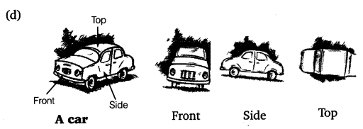 NCERT Solutions for Class 8 Maths Chapter 10 Visualising Solid Shapes 6